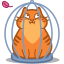 cat_cage